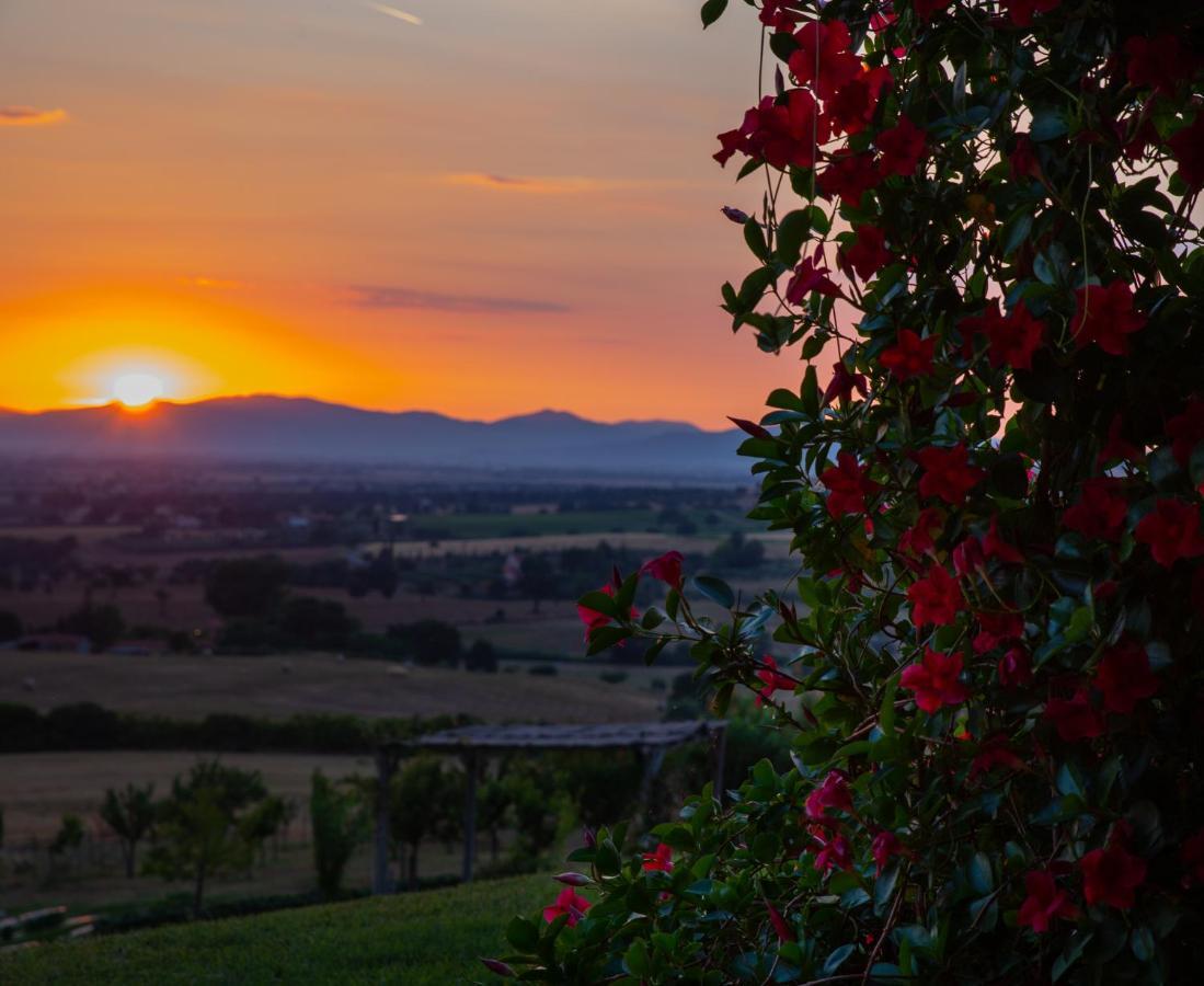 Podere N.8 Bio Casale Maremma Alberese Eksteriør billede